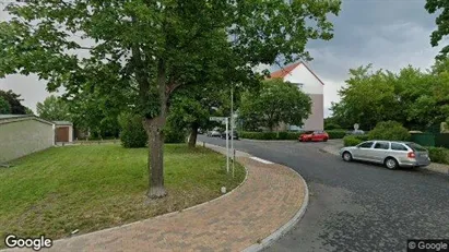 Apartments for rent in Wittenberg - Photo from Google Street View