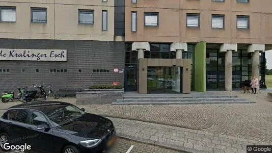 Apartments for rent in Rotterdam Kralingen-Crooswijk - Photo from Google Street View