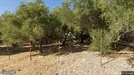 Apartment for rent, Patras, Western Greece, &lt;span class=&quot;blurred street&quot; onclick=&quot;ProcessAdRequest(14339022)&quot;&gt;&lt;span class=&quot;hint&quot;&gt;See streetname&lt;/span&gt;[xxxxxxxxxxxxx]&lt;/span&gt;