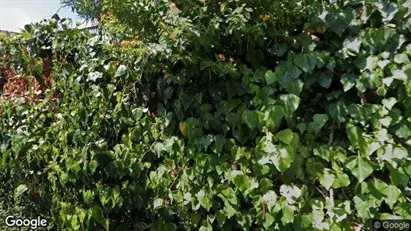 Apartments for rent in Rapallo - Photo from Google Street View