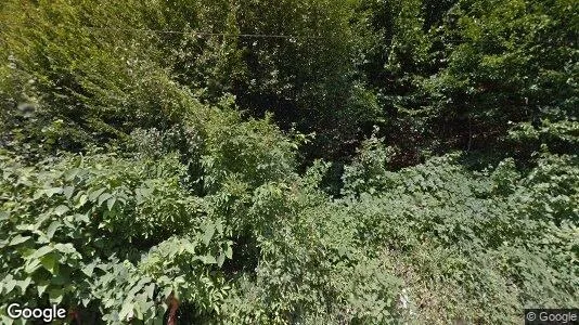 Apartments for rent in Tăuţii-Măgherăuş - Photo from Google Street View