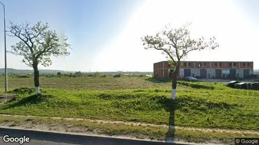 Apartments for rent in Sânmartin - Photo from Google Street View