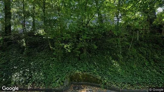 Apartments for rent in Lausanne - Photo from Google Street View