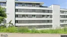 Apartment for rent, Sankt Gallen, Sankt Gallen (Kantone), Haselstrasse<span class="blurred street-number" onclick="ProcessAdRequest(16387086)"><span class="hint">See no.</span>[xxxxxx]</span>