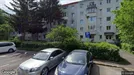 Apartment for rent, Braşov, Centru, Aleea Petuniei<span class="blurred street-number" onclick="ProcessAdRequest(16412984)"><span class="hint">See road-number</span>[xxxxxxxxxxxxxx]</span>