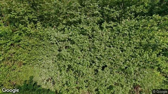 Apartments for rent in Zgierski - Photo from Google Street View