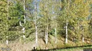 Apartment for rent, Kongsvinger, Hedmark, Galterudvegen<span class="blurred street-number" onclick="ProcessAdRequest(17899656)"><span class="hint">See no.</span>[xxxxxx]</span>