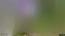 Apartment for rent, Ås, Akershus, Bamseveien<span class="blurred street-number" onclick="ProcessAdRequest(17924041)"><span class="hint">See no.</span>[xxxxxx]</span>