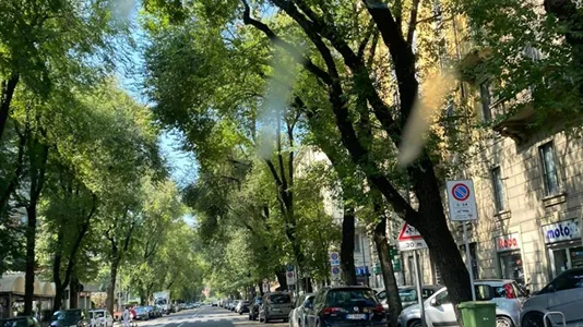 Apartments in Milano Zona 8 - Fiera, Gallaratese, Quarto Oggiaro - photo 9