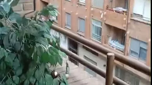 Rooms in Moncada - photo 6