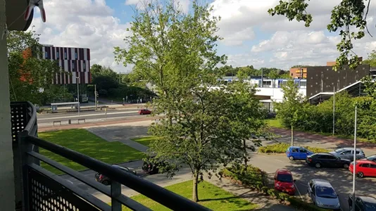 Rooms in Location is not specified - photo 4