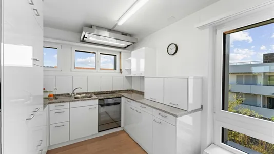 Apartments in Dielsdorf - photo 8