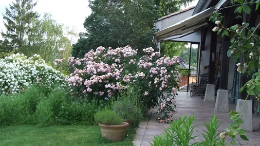 Rooms in Lyon - photo 5