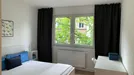 Room for rent, Essen, Nordrhein-Westfalen, Mittwegstraße