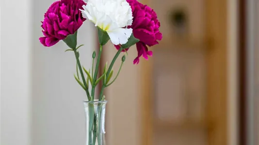 Rooms in Buccinasco - photo 9