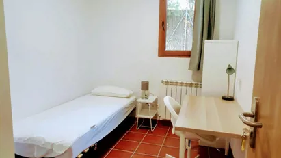 Room for rent in Cerdanyola del Vallès, Cataluña