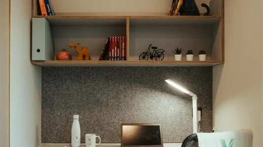 Apartments in Barcelona Sant Martí - photo 5