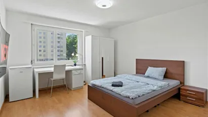 Room for rent in Winterthur, Zürich (Kantone)