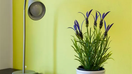 Rooms in Milano Zona 2 - Stazione Centrale, Gorla, Turro, Greco, Crescenzago - photo 9