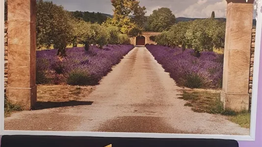 Apartments in Bonn - photo 7