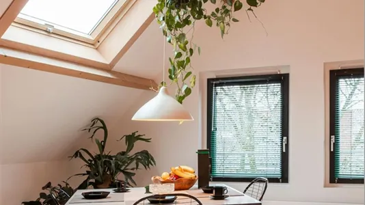 Rooms in Rotterdam Delfshaven - photo 3