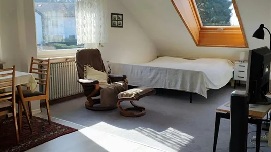 Apartments in Baden-Baden - photo 6