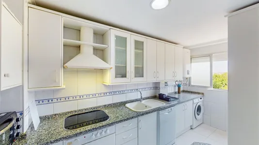 Rooms in Jerez de la Frontera - photo 9