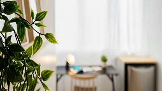 Rooms in Madrid Tetuán - photo 4