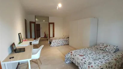 Room for rent in Padua, Veneto