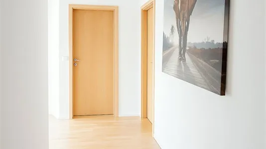 Rooms in Dachau - photo 5