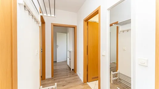 Rooms in Potsdam - photo 5