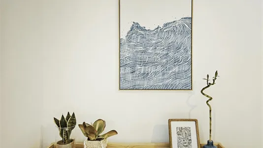 Apartments in Florence - photo 4