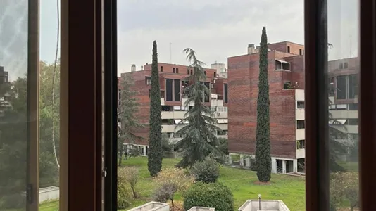 Rooms in Roma Municipio VIII – Appia Antica - photo 7