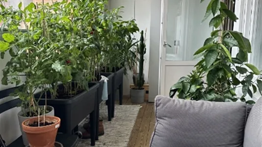 Apartments in Majorna-Linné - photo 12