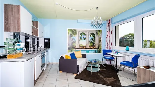 Apartments in Bonn - photo 4