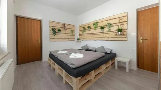 Apartments in Ljubljana Polje - photo 7