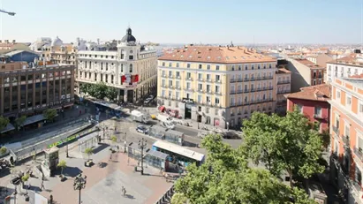 Apartment for rent in Madrid Centro, Madrid