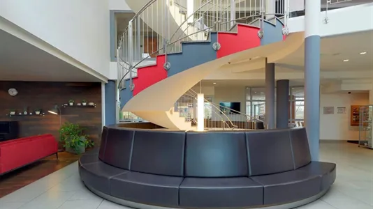 Apartments in Dresden - photo 5