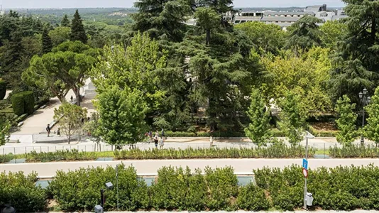 Rooms in Madrid Centro - photo 9