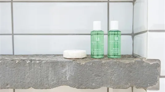 Apartments in Florence - photo 10