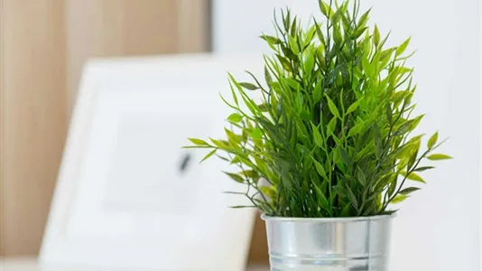 Rooms in Buccinasco - photo 4