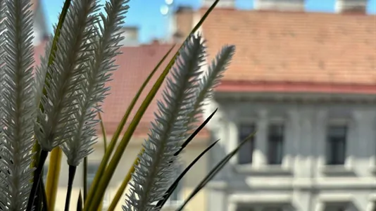 Rooms in Vienna Favoriten - photo 4