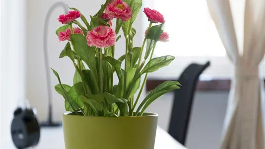 Rooms in Milano Zona 2 - Stazione Centrale, Gorla, Turro, Greco, Crescenzago - photo 7