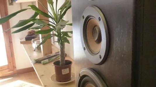 Apartments in Pisa - photo 10