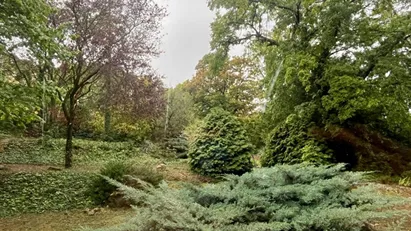 Apartment for rent in Budapest Várkerület, Budapest