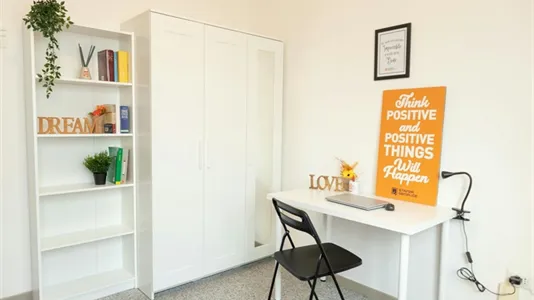 Rooms in Cagliari - photo 4