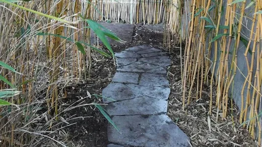 Apartments in Clermont-Ferrand - photo 6