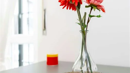 Rooms in Milano Zona 2 - Stazione Centrale, Gorla, Turro, Greco, Crescenzago - photo 8