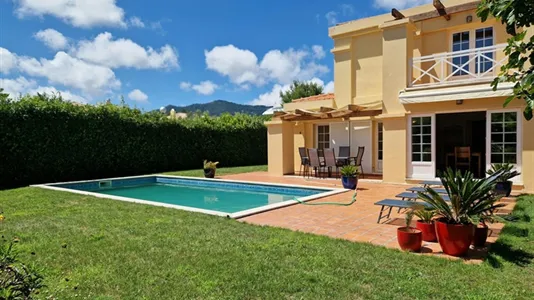 Houses in Sintra - photo 8