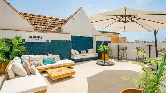 Apartments in Málaga - photo 10